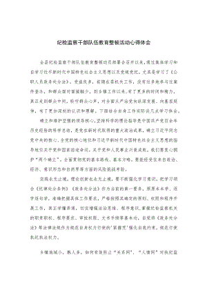 2023纪检监察干部队伍教育整顿活动心得体会【10篇精选】供参考范文.docx
