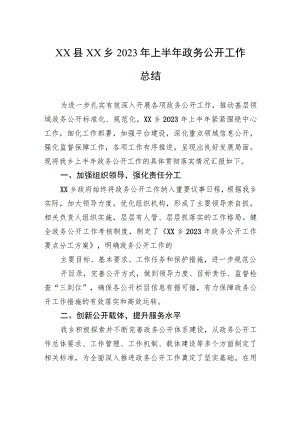 XX县XX乡2023年上半年政务公开工作总结（20230628）.docx
