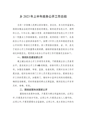 乡2023年上半年政务公开工作总结(20230628).docx