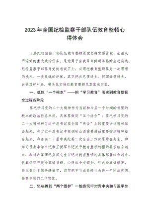 2023年纪检监察干部队伍教育整顿心得体会八篇.docx