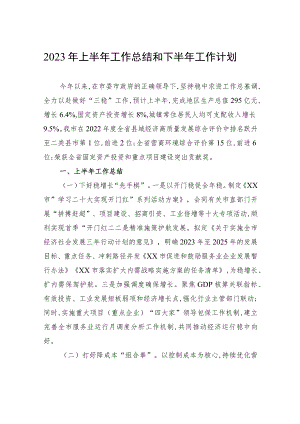 2023年上半年工作总结和下半年工作计划（20230612）.docx