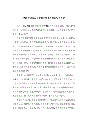 2023年纪检监察干部队伍教育整顿心得体会范文精选10篇.docx
