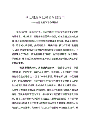主题教育学习心得体会.docx