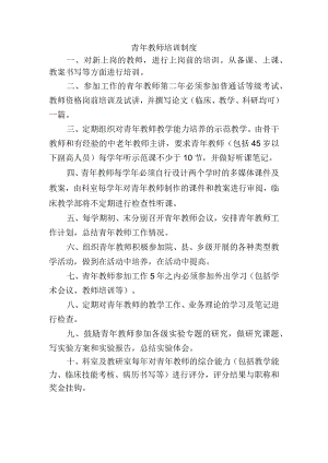 青年教师培训制度.docx