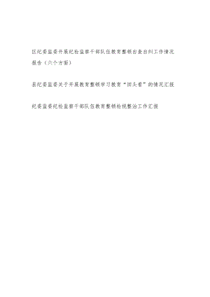 区县纪委监委开展纪检监察干部队伍教育整顿自查自纠工作“回头看”情况报告检视整治汇报.docx