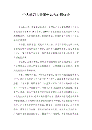 个人学习共青团十九大心得体会.docx