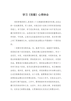2023学习《新党章》心得体会5篇.docx