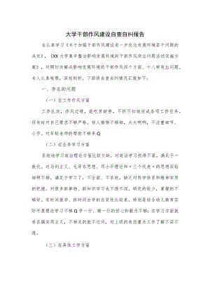 大学干部作风建设自查自纠报告.docx