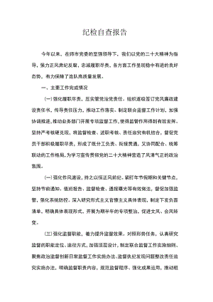 纪检自查报告.docx