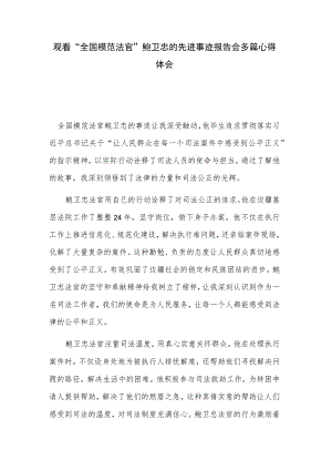 观看“全国模范法官”鲍卫忠的先进事迹报告会多篇心得体会.docx