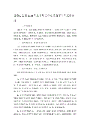 县委办公室2023年上半年工作总结及下半年工作安排.docx