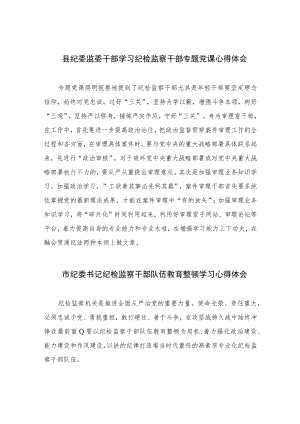 2023县纪委监委干部学习纪检监察干部专题党课心得体会【10篇精选】供参考范文.docx