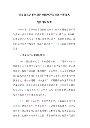 党支部书记2023年上半年履行全面从严治党第一责任人责任情况及市局主要负责人述法报告报告范文2篇.docx