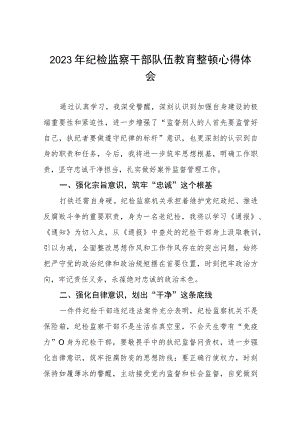 2023纪检监察干部队伍教育整顿活动心得体会材料八篇.docx