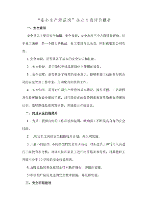 安全生产示范岗企业自我评价报告.docx