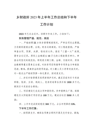 乡财政所2023年上半年工作总结和下半年工作计划（20230625）.docx
