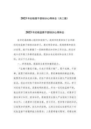 2023年纪检监察干部培训心得体会(共二篇).docx