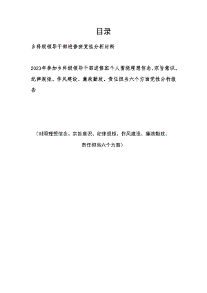 围绕理想信念、宗旨意识、纪律规矩、作风建设、廉政勤政、责任担当六个方面个人党性分析报告对照检视剖析检查材料2篇.docx