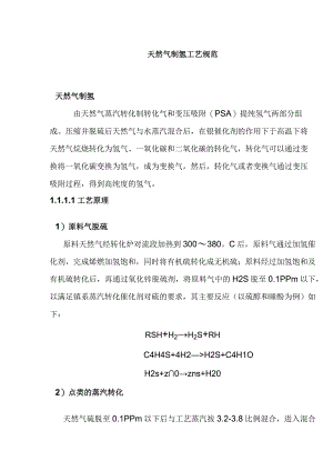 天然气制氢工艺规范.docx