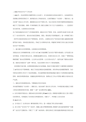 二0XX年度安全生产工作总结.docx