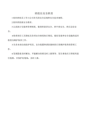 班组长安全职责.docx