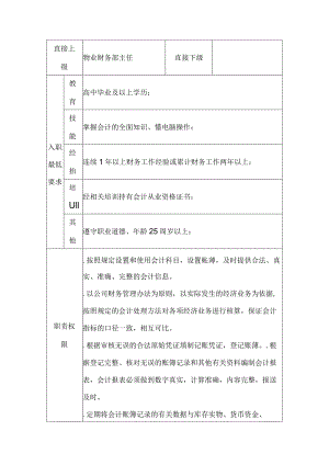 物业会计职务说明书范文.docx