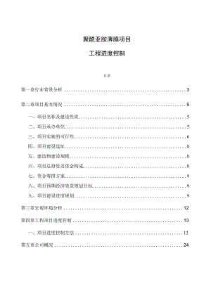 聚酰亚胺薄膜项目工程进度控制.docx