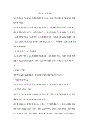 什么是安全领导力.docx
