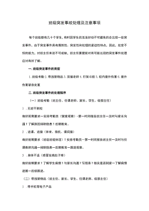 班级突发事故处理及注意事项.docx
