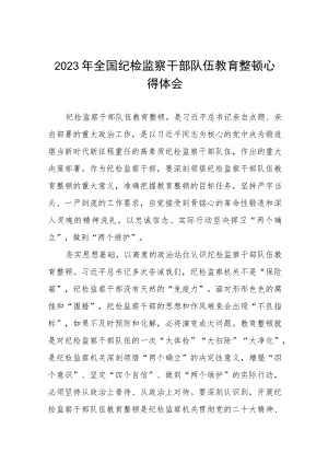 2023纪检监察干部队伍教育整顿活动的心得体会七篇.docx