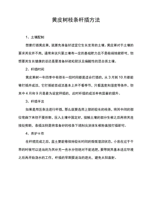 黄皮树枝条扦插方法.docx