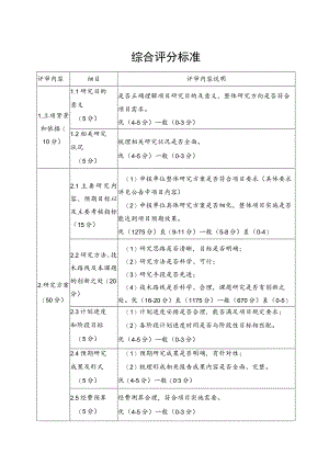 综合评分标准.docx
