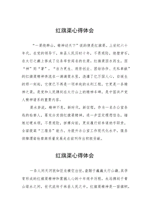 学习红旗渠精神心得体会八篇.docx