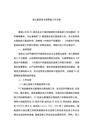 成立基层党支部筹备工作方案.docx