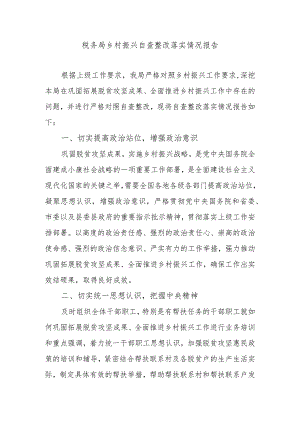 税务局乡村振兴自查整改落实情况报告.docx