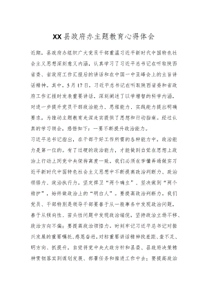 XX县政府办主题教育心得体会.docx