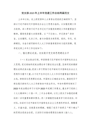 党支部2023年上半年党建工作总结两篇范文.docx