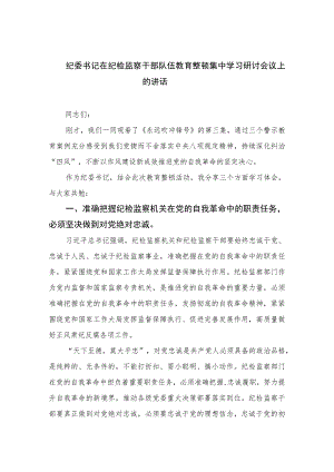 2023纪委书记在纪检监察干部队伍教育整顿集中学习研讨会议上的讲话范文精选三篇.docx