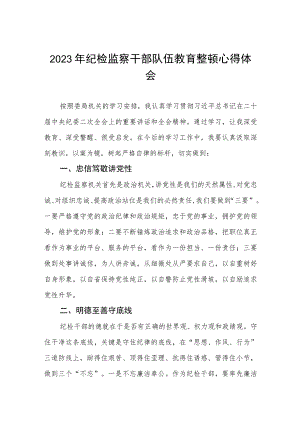 全国纪检监察干部队伍教育整顿心得体会2篇.docx
