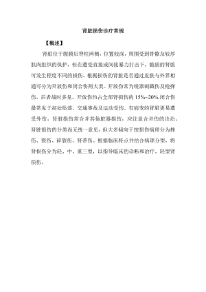 肾脏损伤诊疗常规.docx