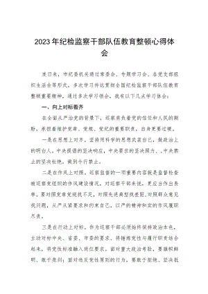 最新版2023年全国纪检监察干部队伍教育整顿心得体会七篇样本.docx