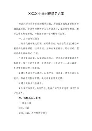 中学对标学习方案.docx
