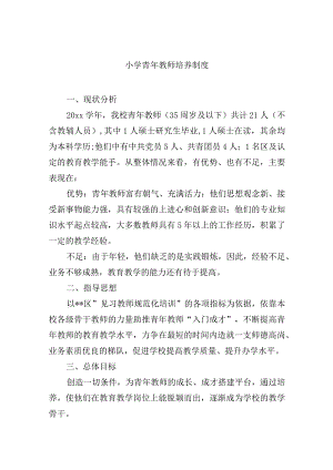小学青年教师培养制度.docx