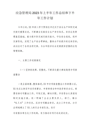 应急管理局2023年上半年工作总结和下半年工作计划.docx