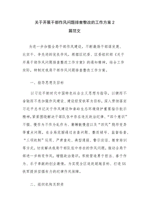 关于开展干部作风问题排查整改的工作方案2篇范文.docx