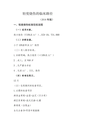 轻度烧伤的临床路径.docx