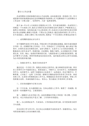 个人试用期实习工作总结合集4篇.docx