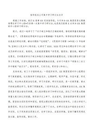 指导组在公司集中学习研讨会点评.docx