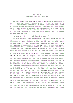 关于加强乡镇领导干部队伍建设工作经验材料.docx