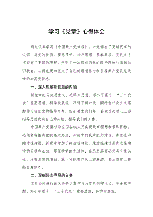 国企党员干部学习《党章》心得体会八篇.docx